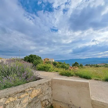 Villa Little House Novigrad Novigrad (Dalmatia)